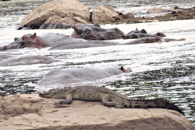 3 Days 2 Nights Maasai Mara Safari Transport 4x4 Landcruiser Jeep - Booking and Confirmation