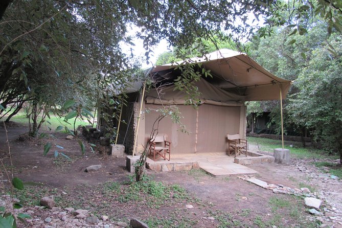 3 Days 2 Nights Masai Mara Best Short Tour - Traveler Participation
