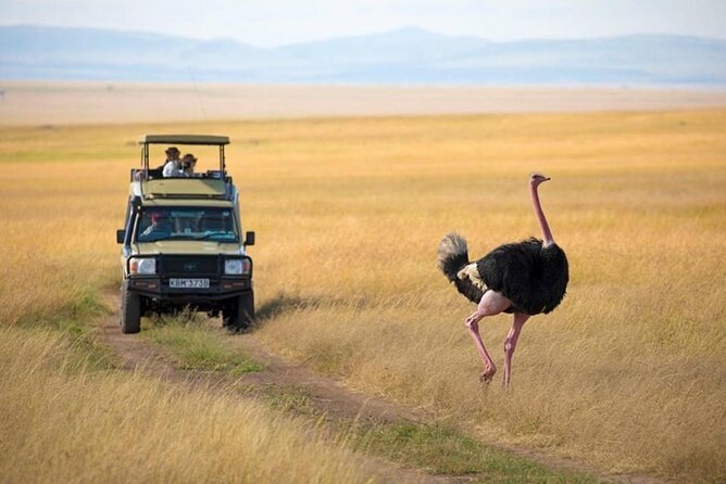 3 Days 2 Nights Masai Mara Budget Safari From Nairobi - Included Amenities and Activities