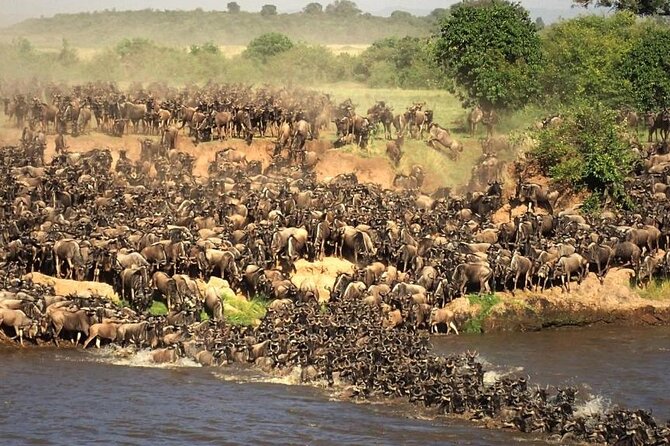 3 Days 2 Nights Masai Mara Budget Safari From Nairobi - Pricing and Group Size