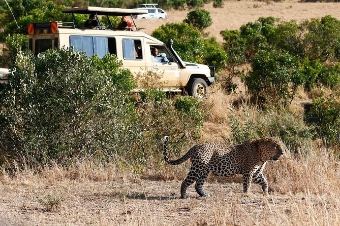 3 Days 2 Nights Masai Mara Joining Safari From Nairobi - Transportation and Logistics