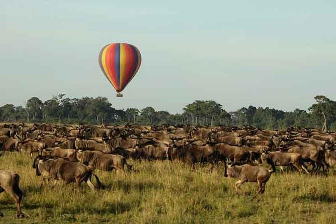 3 Days 2 Nights Masai Mara Joining Safari From Nairobi - Additional Details