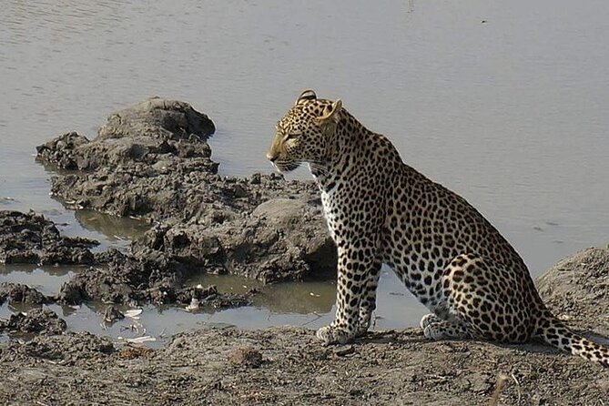3 Days 2 Nights Mikumi National Park From Dar Es Salaam Road Trip - Personalized Experience
