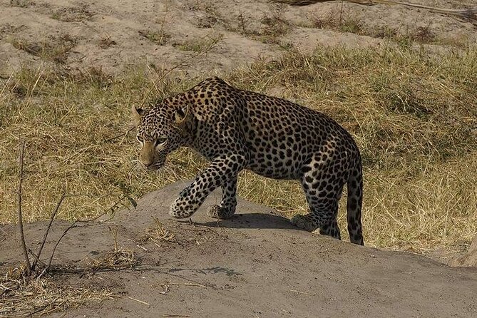 3 Days 2 Nights Mikumi National Park From Dar Es Salaam Road Trip - Cancellation Policy
