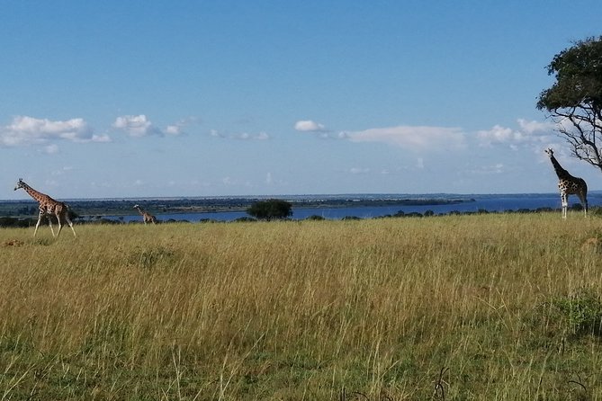 3 Days 2 Nights, Murchison Falls And Wildlife Safari - Key Points