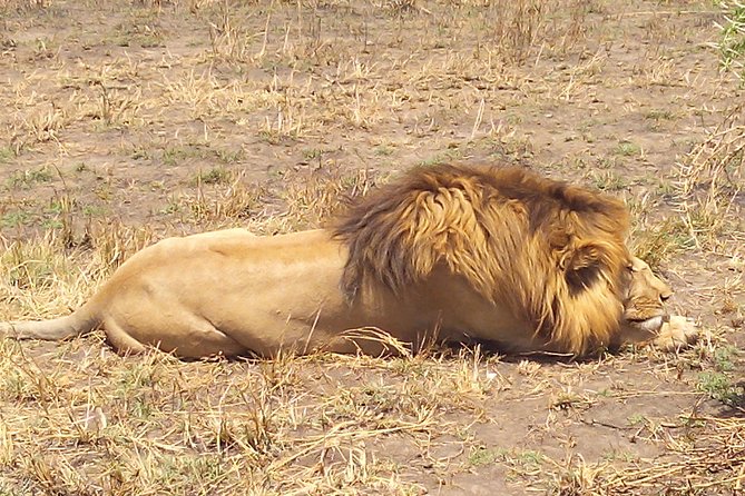 3 Days 2 Nights Ngorongoro, Manyara & Tarangire National Park Camping - Destination Highlights