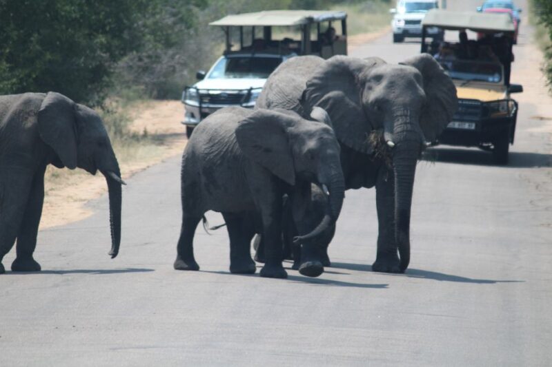 3 Days 2 Nights Panorama Tour & Kruger National Park Safari - Detailed Itinerary