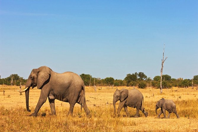 3 Days, 2 Nights Safari - Amboseli National Park and Tsavo West Adventure Safari - Key Attractions