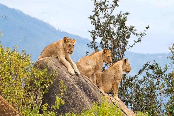 3 Days, 2 Nights Safari - Amboseli National Park and Tsavo West Adventure Safari - Accommodation and Meals
