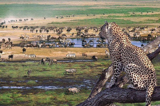 3 Days 2 Nights Serengeti, Ngorongoro & Tarangire Wildlife Lodge Safari - Key Points