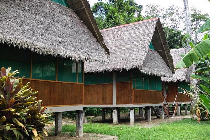 3 Days 2 Nights - Tambopata Jungle - Itinerary Highlights