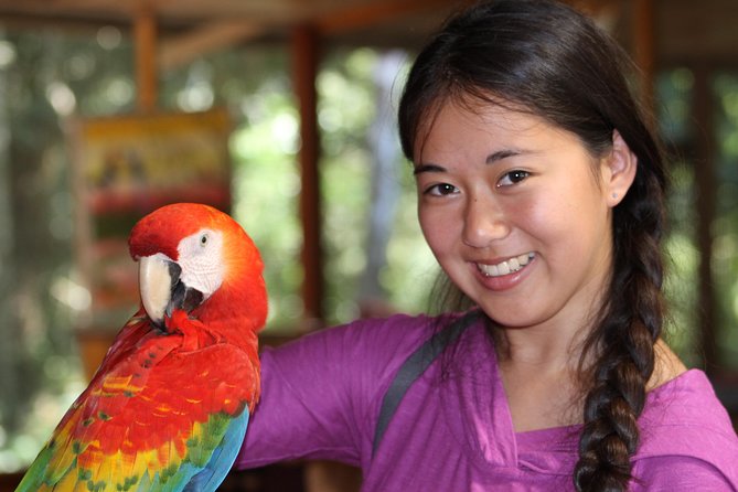 3 Days 2 Nights - Tambopata Jungle - Traveler Experience