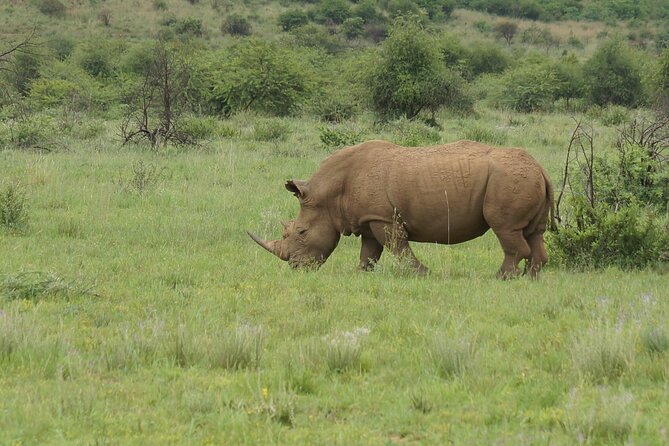 3-Days 2-nights Tanzania Private Budget Camping Safari - Key Points