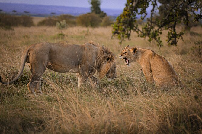 3-Days 2-nights Tanzania Private Budget Camping Safari - Included Amenities