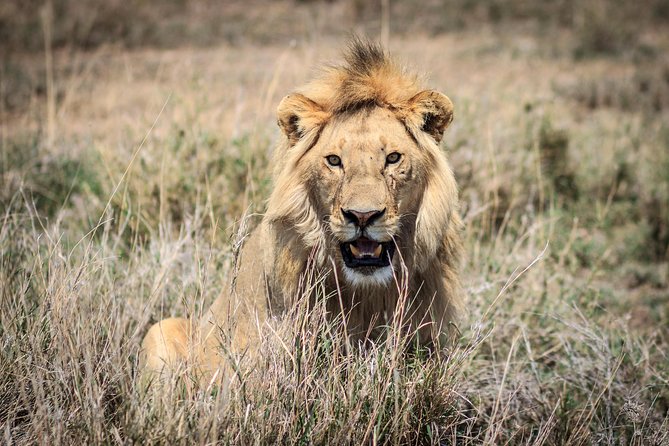 3-Days 2-nights Tanzania Private Budget Camping Safari - Meeting and Pickup Details
