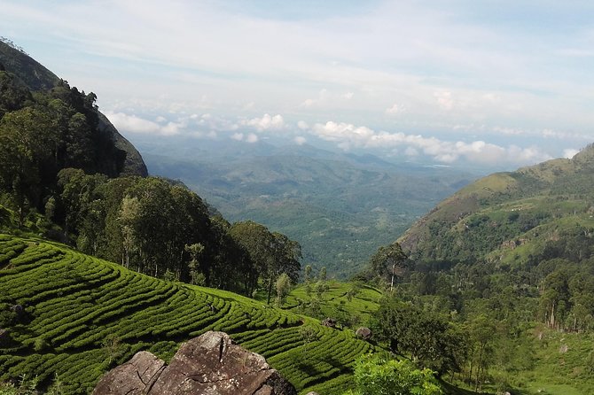 3 Days, 2 Nights Tour - Accessibility