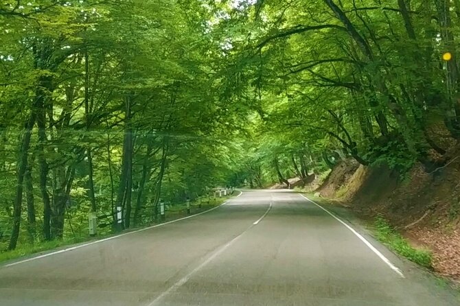 3 Days/2 Nights Tusheti Region Jeep Tour Package in Georgia - Pickup and Start Time