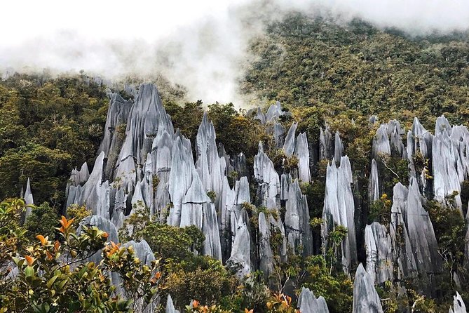 3 Days 2 Nights Unesco World Heritage Mulu 4 Showcaves - Key Points