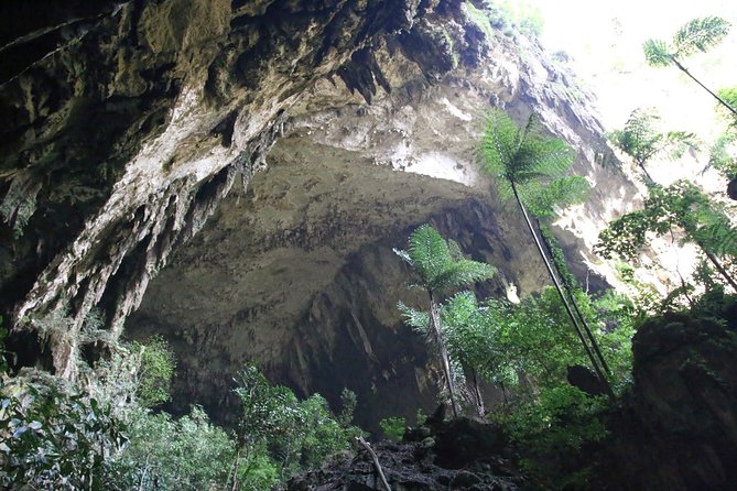 3 Days 2 Nights Unesco World Heritage Mulu 4 Showcaves - Tour Package Highlights