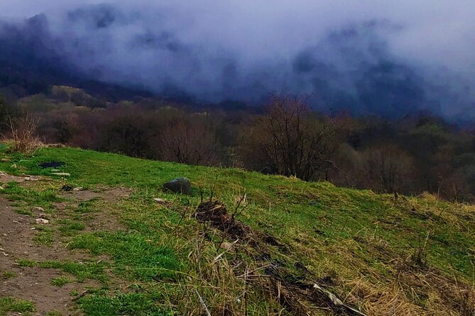 3 Days/2 Nights Vashlovani National Park Tour Package in Georgia - Key Points
