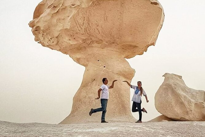 3 Days 2 Nights White Desert and Bahariya Oasis Tour - Guest Reviews