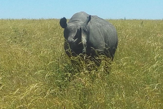 3 Days Adventurous Maasai Mara Budget Group Safari - Whats Included