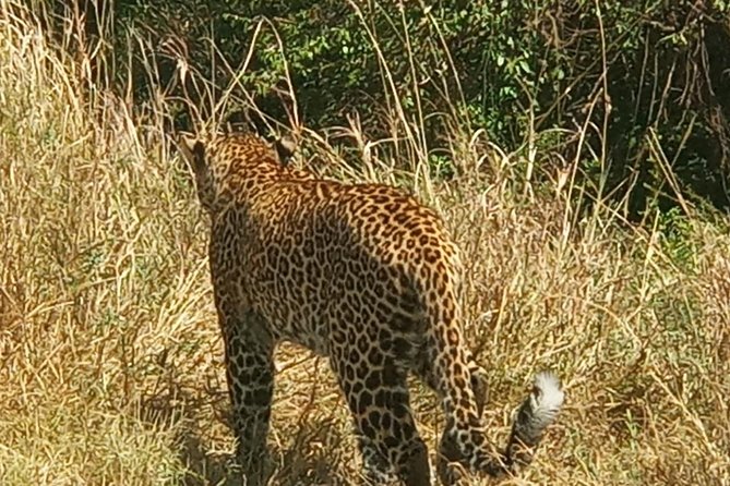 3 Days Adventurous Maasai Mara Budget Group Safari - Logistics