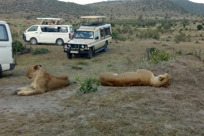 3 Days Adventurous Maasai Mara Budget Group Safari - Highlights of the Mara