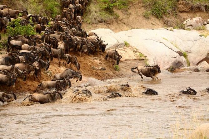 3 Days Adventurous Maasai Mara Budget Group Safari - Safari Schedule