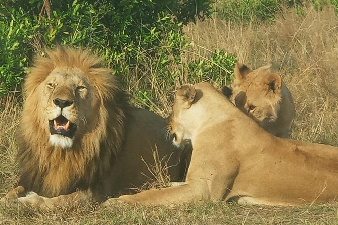 3 Days Adventurous Maasai Mara Budget Group Safari - Getting to the Mara