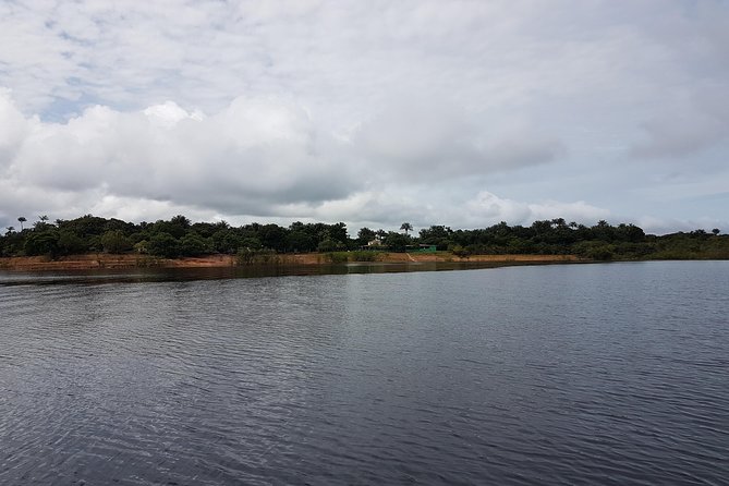 3 Days Amazon Jungle Adventure Tour - Itinerary and Inclusions