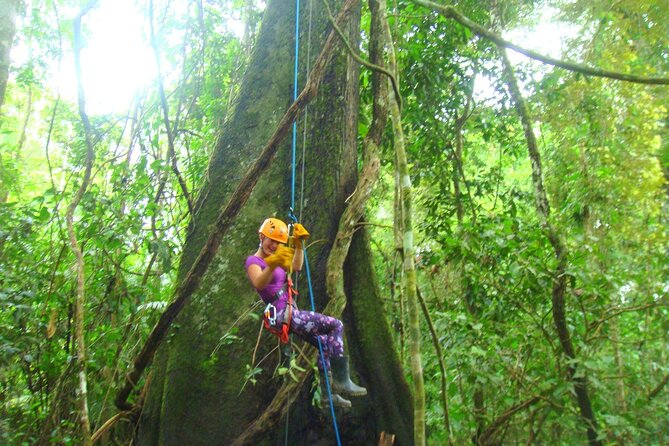 3 Days Amazon Jungle Tour With Pink Dolphin Watch From Iquitos - Accommodation and Meals
