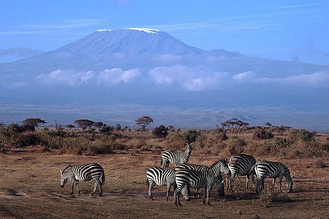 3 Days Amboseli, Land of Kilimanjaro - Meals and Transportation Included