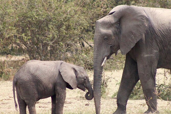 3 Days Amzing Safari in Tarangire and Nngorongoro - Cancellation Policy