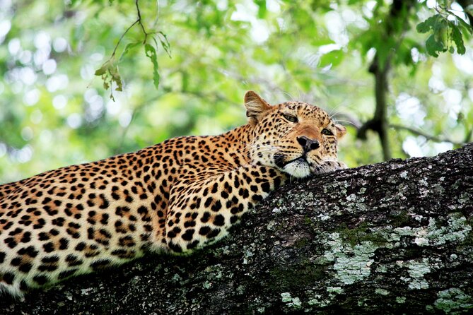 3 Days Amzing Safari in Tarangire and Nngorongoro - Fees and Taxes