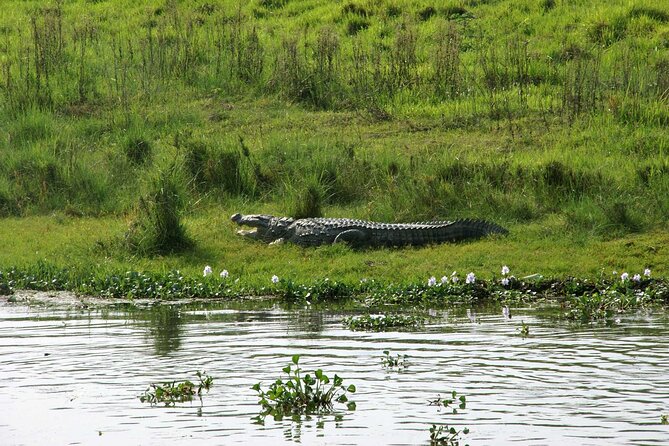 3 Days and 2 Nights Chitwan National Park Safari Tour in Pokhara - Cultural Immersion