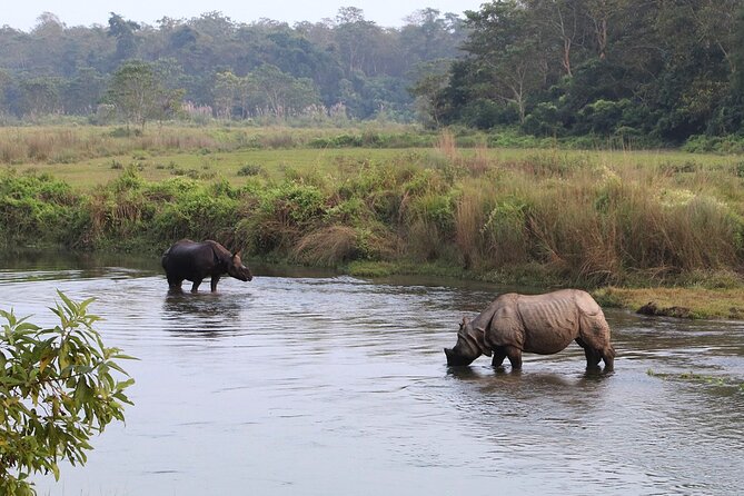 3 Days and 2 Nights Chitwan National Park Safari Tour in Pokhara - Wildlife Observation