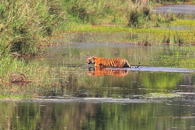 3 Days and 2 Nights Chitwan National Park Safari Tour in Pokhara - Outdoor Activities