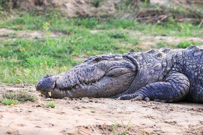 3 Days and 2 Nights Chitwan National Park Safari Tour in Pokhara - Travel Logistics