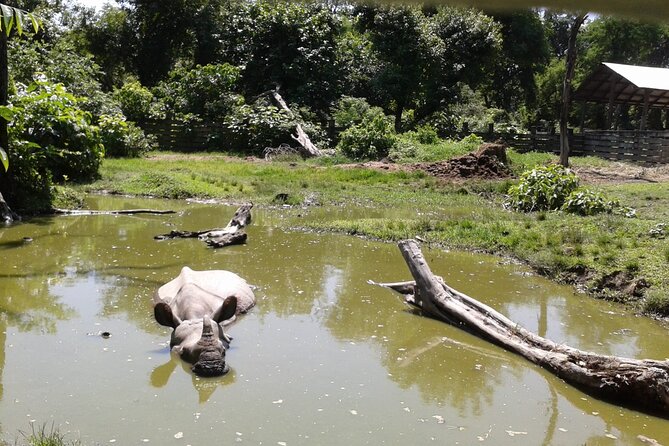 3 Days and 2 Nights Chitwan National Park Safari Tour in Pokhara - Pricing and Policies