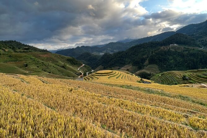 3 Days and 2 Nights Sapa Trek With Local Guide by Comlam - Highlights From Guest Reviews