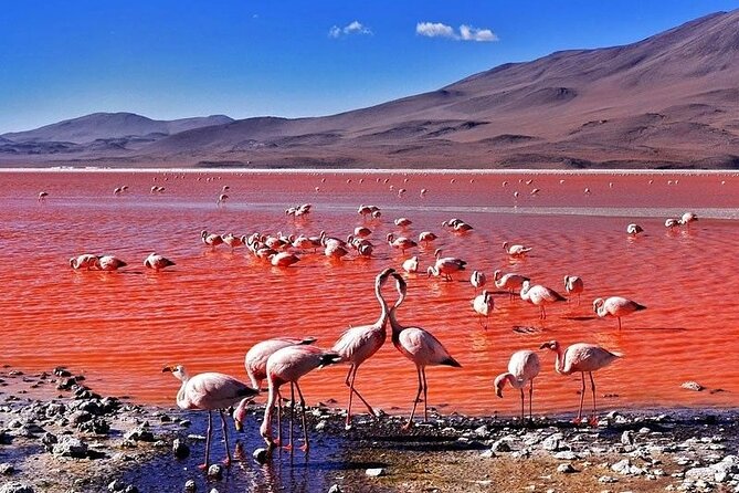 3-Days and 2-Nights Tour Salar Uyuni Ending in Atacama Chile - Accessibility and Health Recommendations