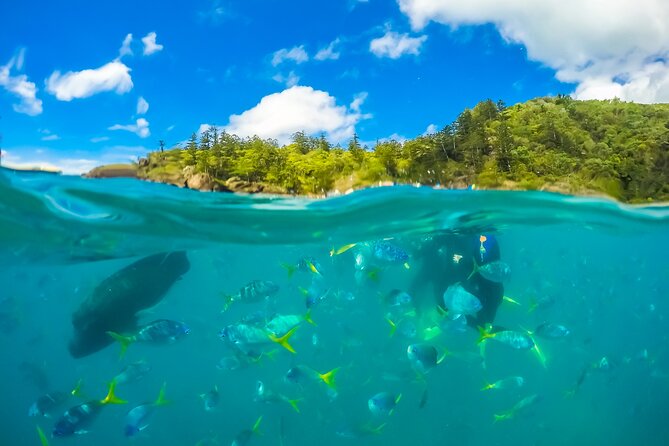 3 Days Apollo Maxi Sailing in Australia - Whitsunday Islands Exploration