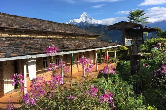 3 Days Astam,Hyanjakot And Dhampus Hiking From Pokhara - What to Expect