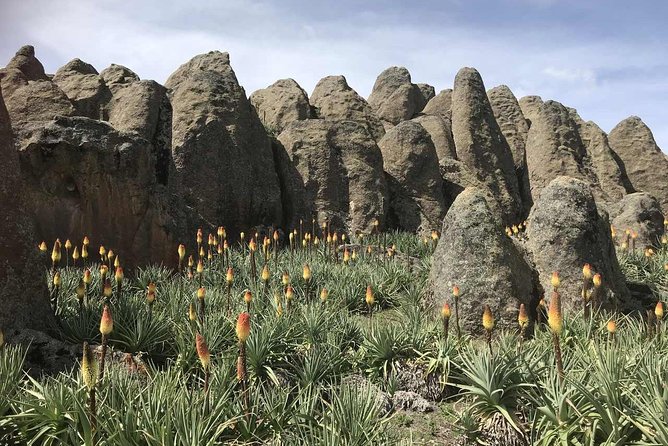 3 Days Bale Mountains Trekking - Recommended and Excluded Activities