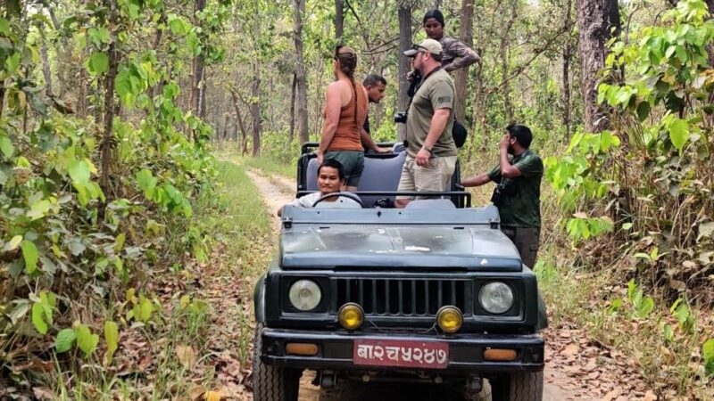3 Days Bardiya Jungle Safari Tour From Kathmandu - Key Points