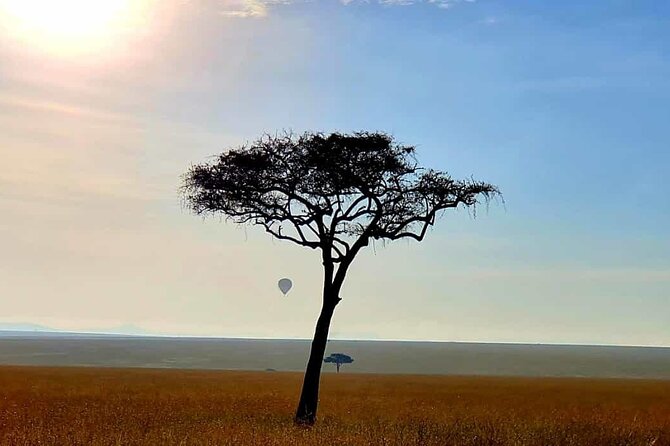 3 Days Best of Maasai Mara Budget Safari - Itinerary and Highlights