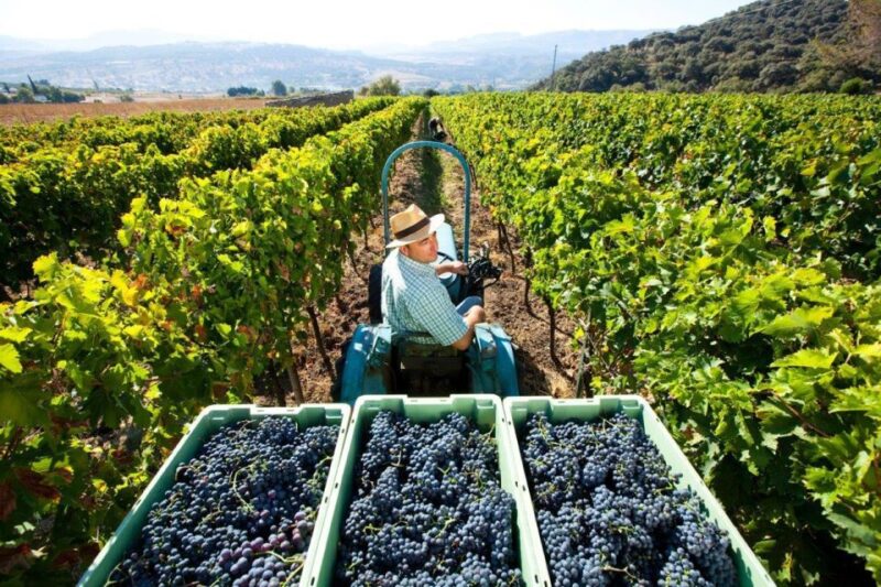 3 Days Best of Tuscany Private Tour - Itinerary Highlights