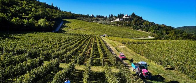 3 Days Best of Tuscany Private Tour - Guided Tasting Tour