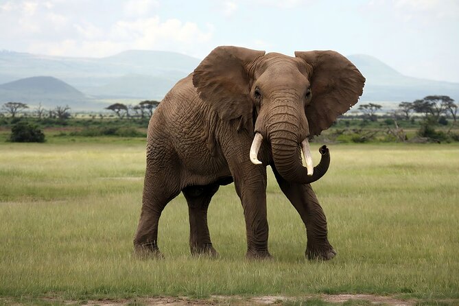 3 Days Big Five Unforgetable Lodging Tanzania Safari - Accommodation